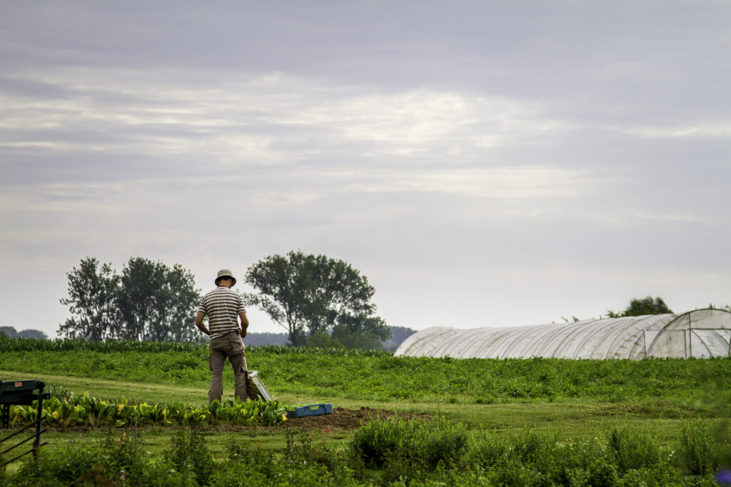 Is biologische landbouw beter voor het klimaat?