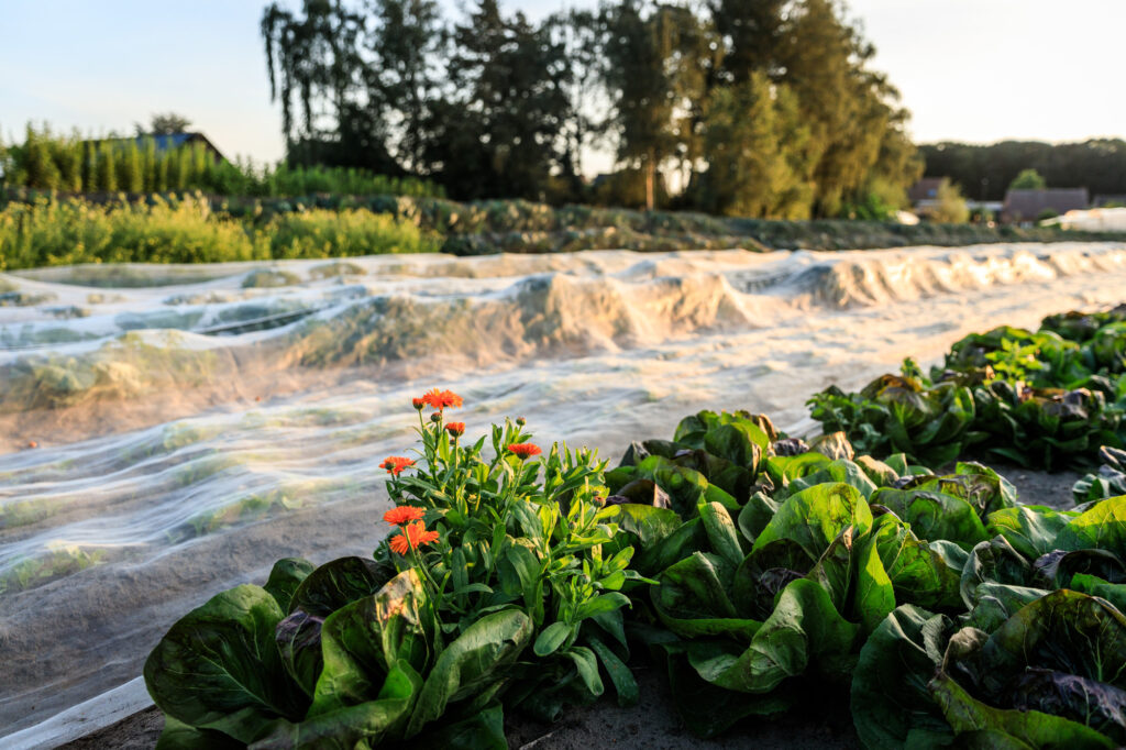 Een oplossing voor het klimaat? Biolandbouw!